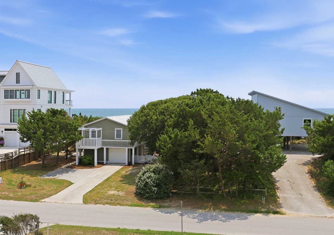 Dolphin Reach Up | Exterior