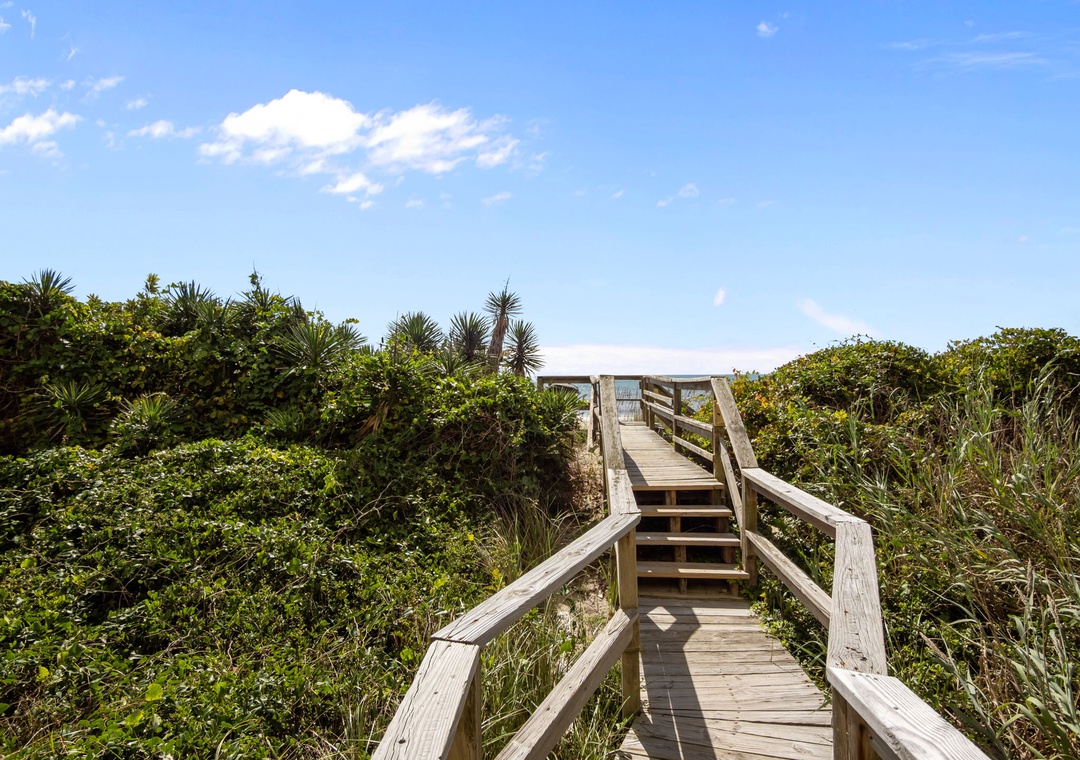 A wooden boardwalk winds through native coastal vegetation toward the beach, surrounded by lush greenery under clear blue skies.