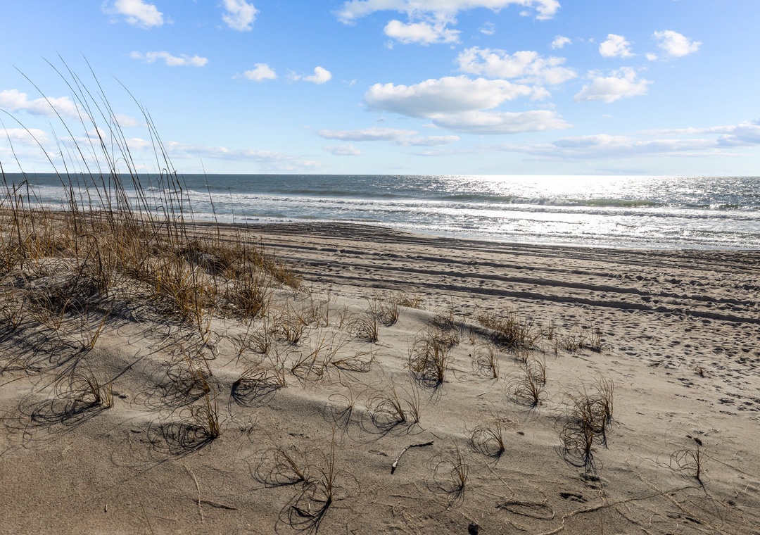 A pristine stretch of coastline featuring natural dunes with sea grass and gentle waves rolling onto the sandy shore.