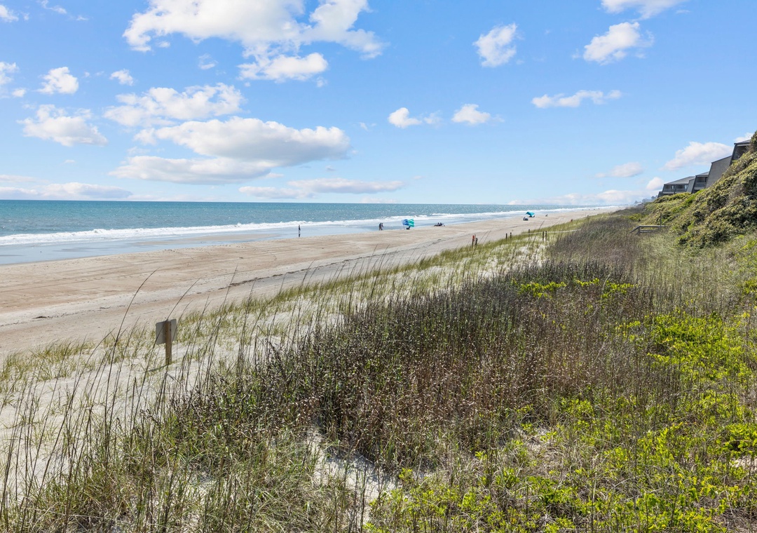 Pristine coastline with sandy beach and natural dune vegetation, featuring residential properties overlooking the ocean.