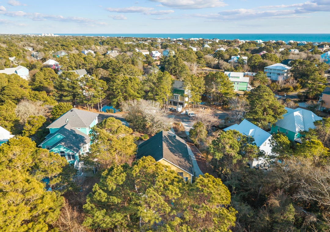 Aerial view of a coastal residential community with homes nestled among lush trees and the ocean visible in the distance.