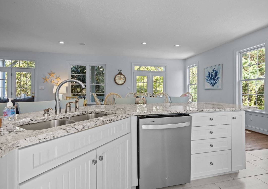 Dishwasher and Dual Sinks