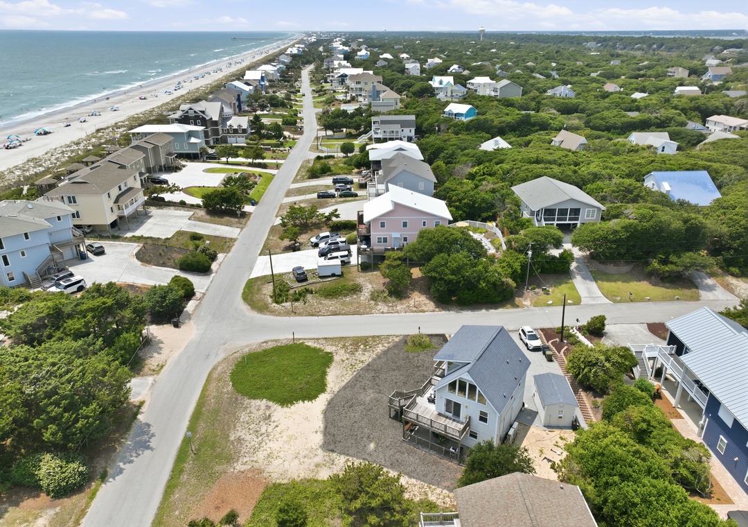 Dolphin Reach Down | Aerial View