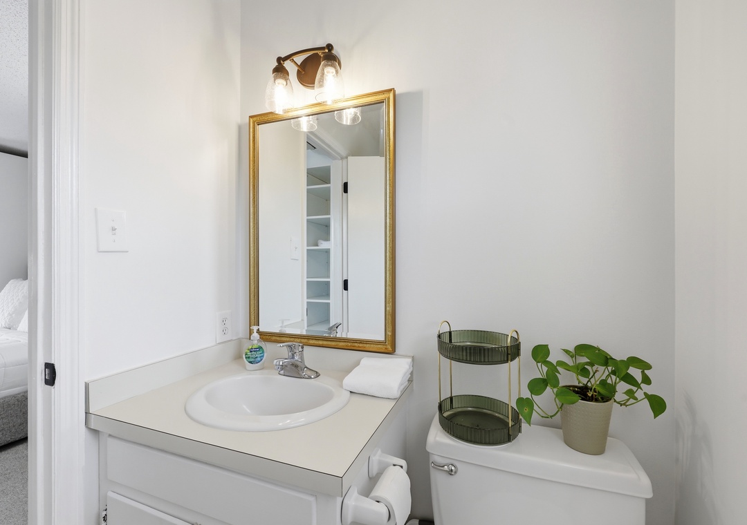 Dolphin Reach Up | Ensuite with Combo Tub/Shower