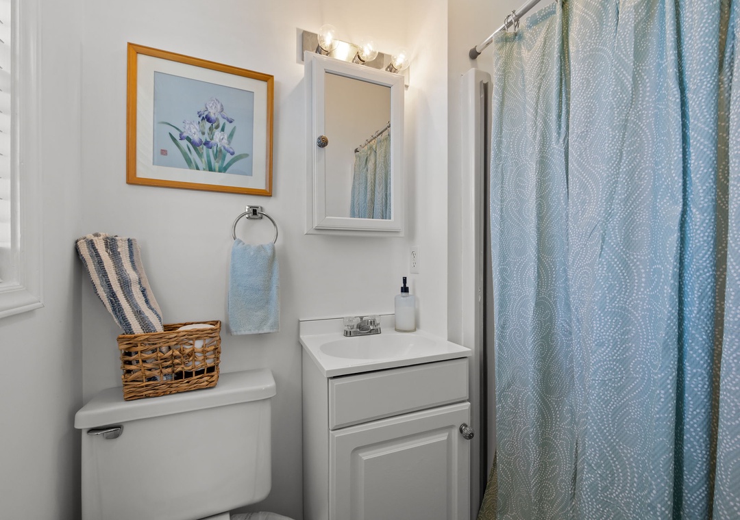 Hallway Bathroom