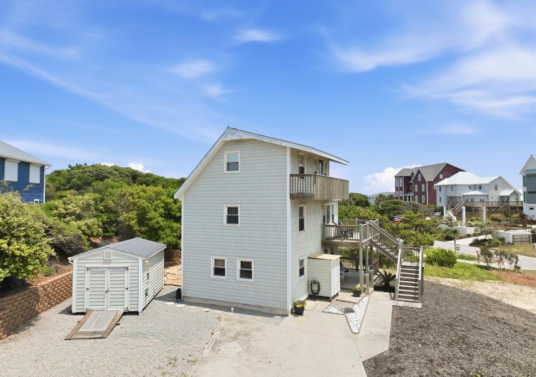Dolphin Reach Up | Exterior