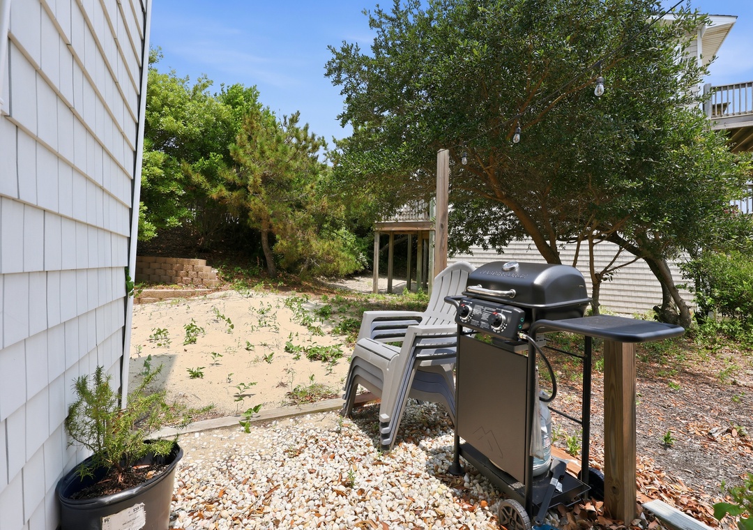Dolphin Reach Down | Outdoor Area