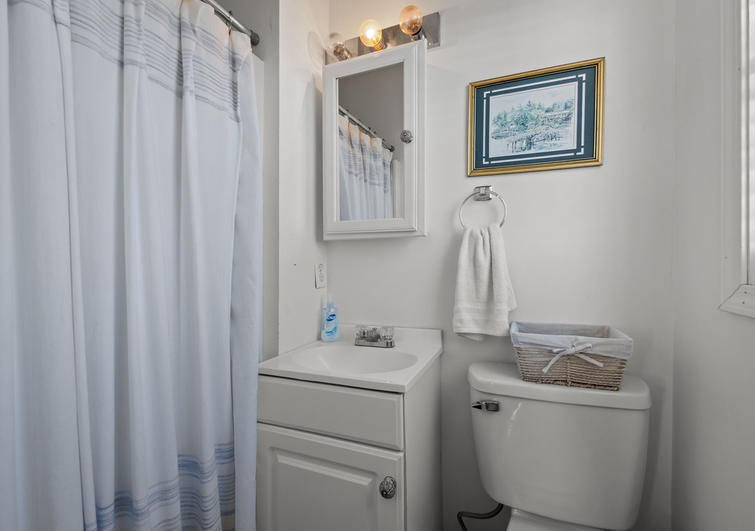 Hallway Bathroom