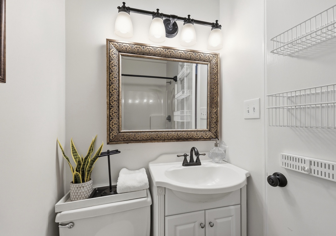 Dolphin Reach Down | Hall Full Bathroom