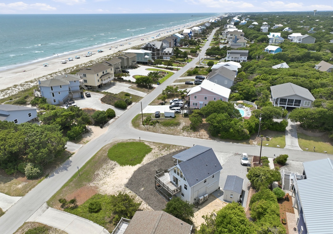 Dolphin Reach Down | Aerial View