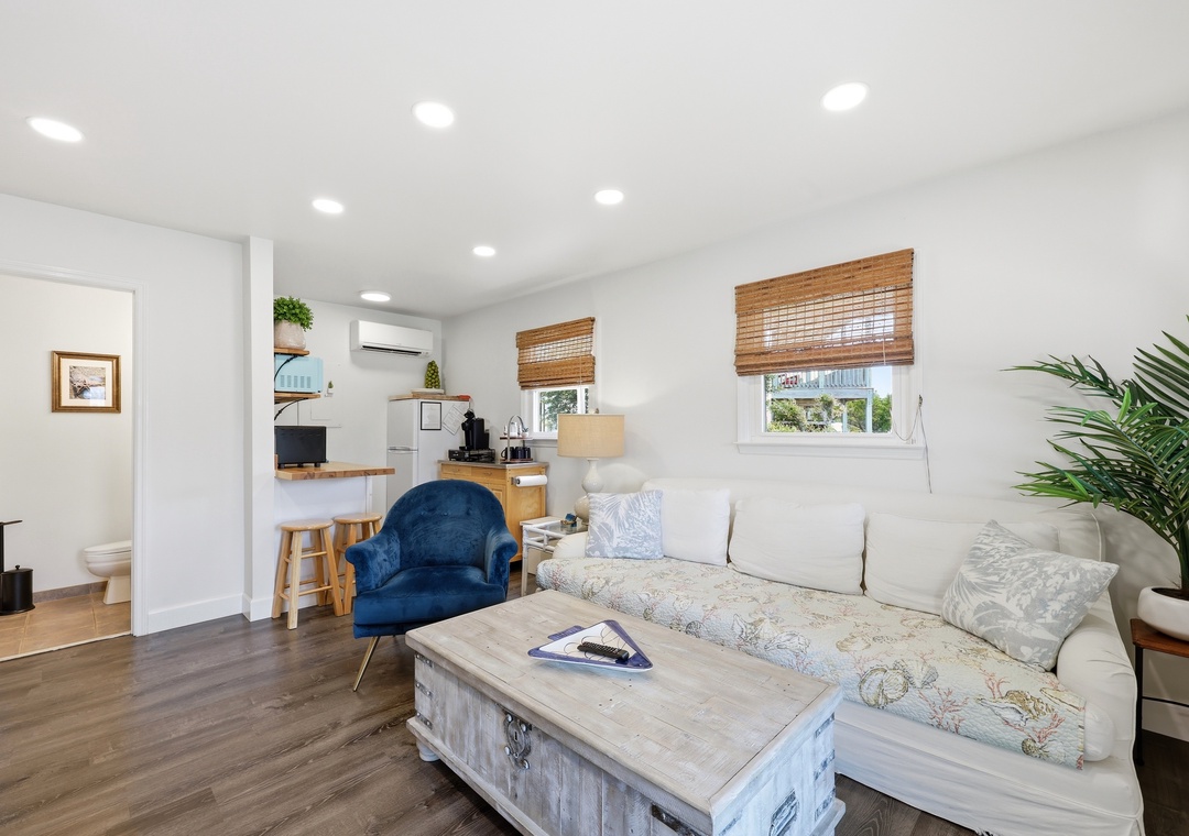 Dolphin Reach Down | Living Area
