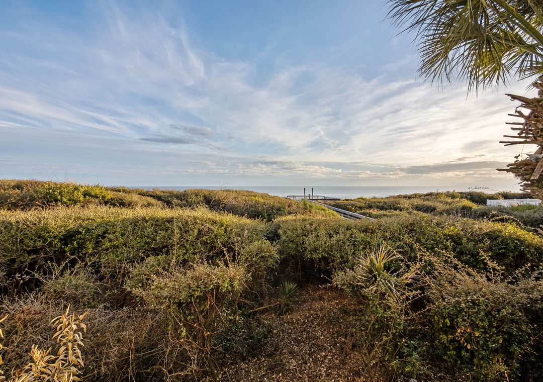 Coastal landscape showcases natural dunes and native vegetation leading toward the ocean horizon.