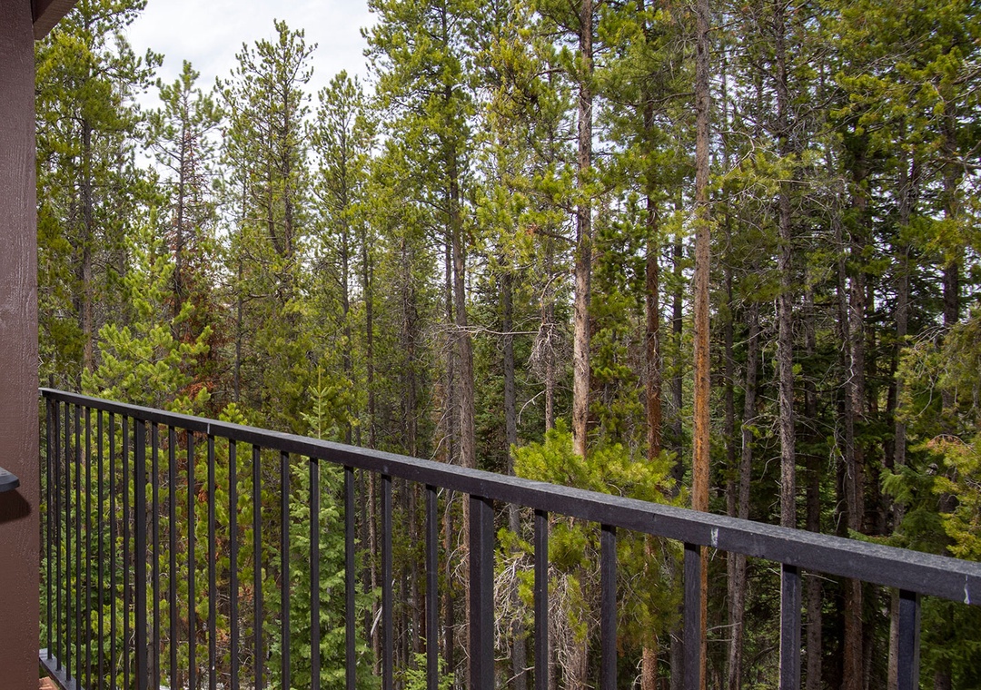 Step onto your private balcony and breathe in the fresh forest air while enjoying your morning coffee surrounded by towering trees.