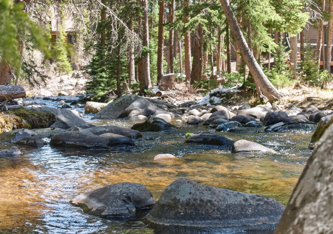 A peaceful stream flows through a forest of towering pines and smooth river stones, offering a serene natural setting near the property.