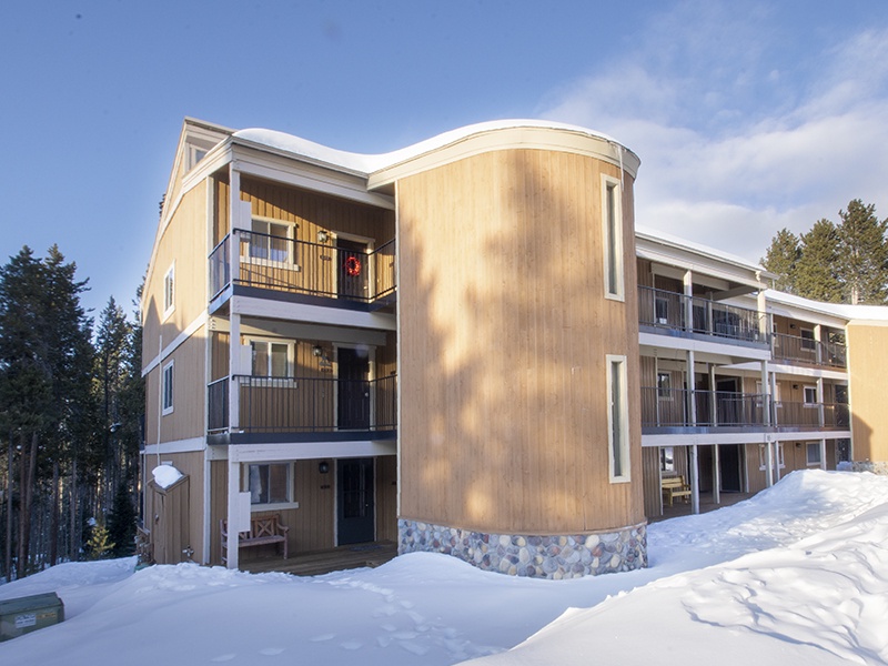 Modern wood-sided apartment building nestled among towering evergreens, featuring multiple levels with private balconies.