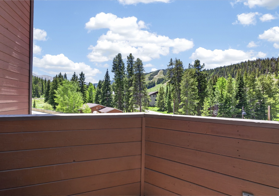 Panoramic mountain and forest views stretch across the valley, with ski slopes visible in the distance and lush evergreens framing the summer landscape.