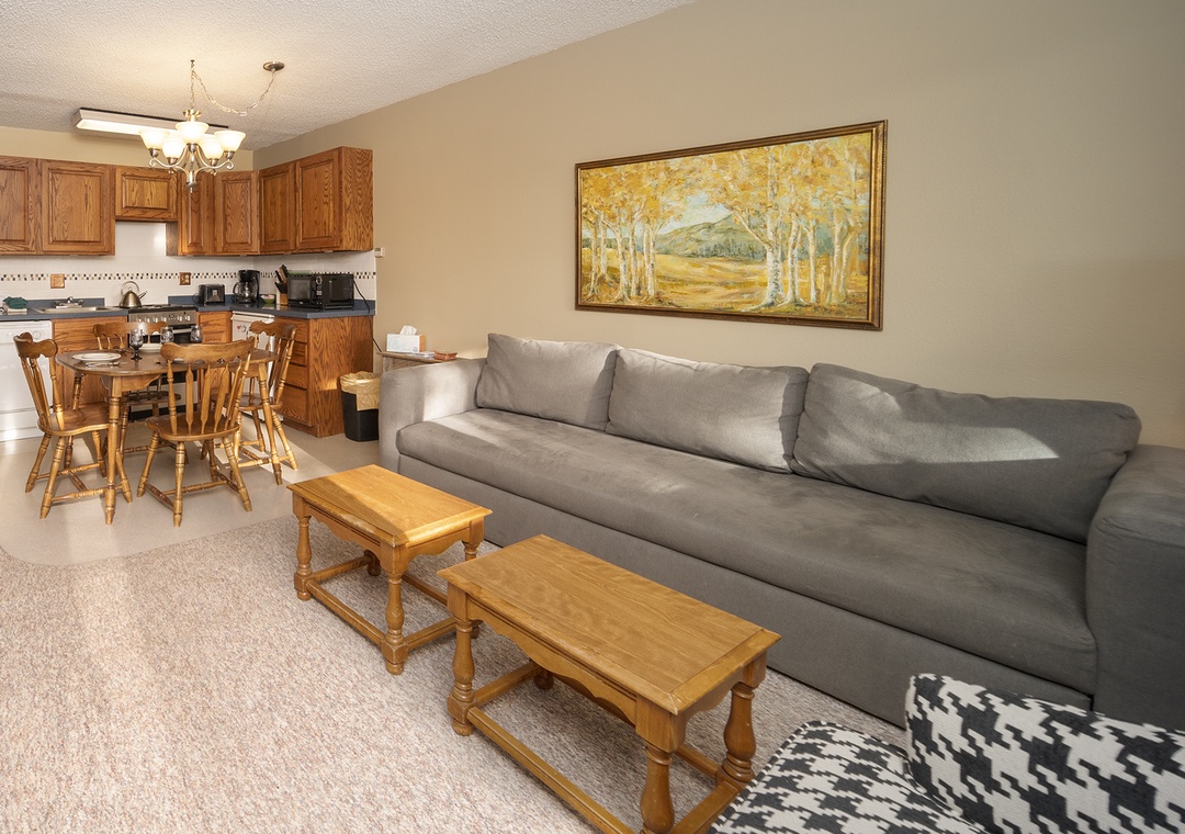 Relax in your open-concept suite where the cozy living area flows into a full kitchen, perfect for unwinding after adventures.