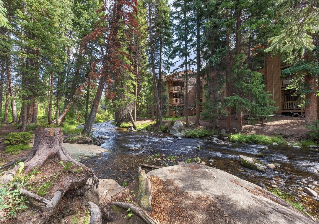 A peaceful mountain retreat nestled among towering pines, where the gentle sounds of a rushing creek and birdsong fill the air. This is a tranquil setting ideal for a rejuvenating getaway.