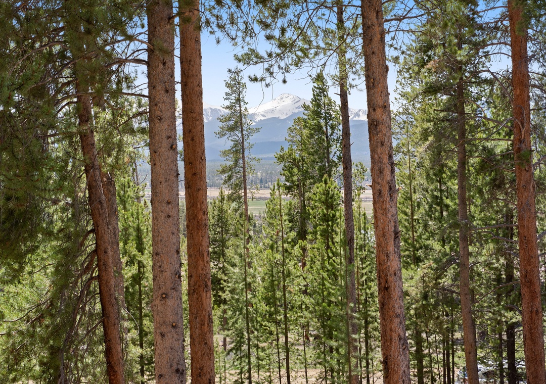 Through towering pines, distant snow-capped peaks rise majestically above the valley—a stunning natural backdrop framing the property's serene mountain location.