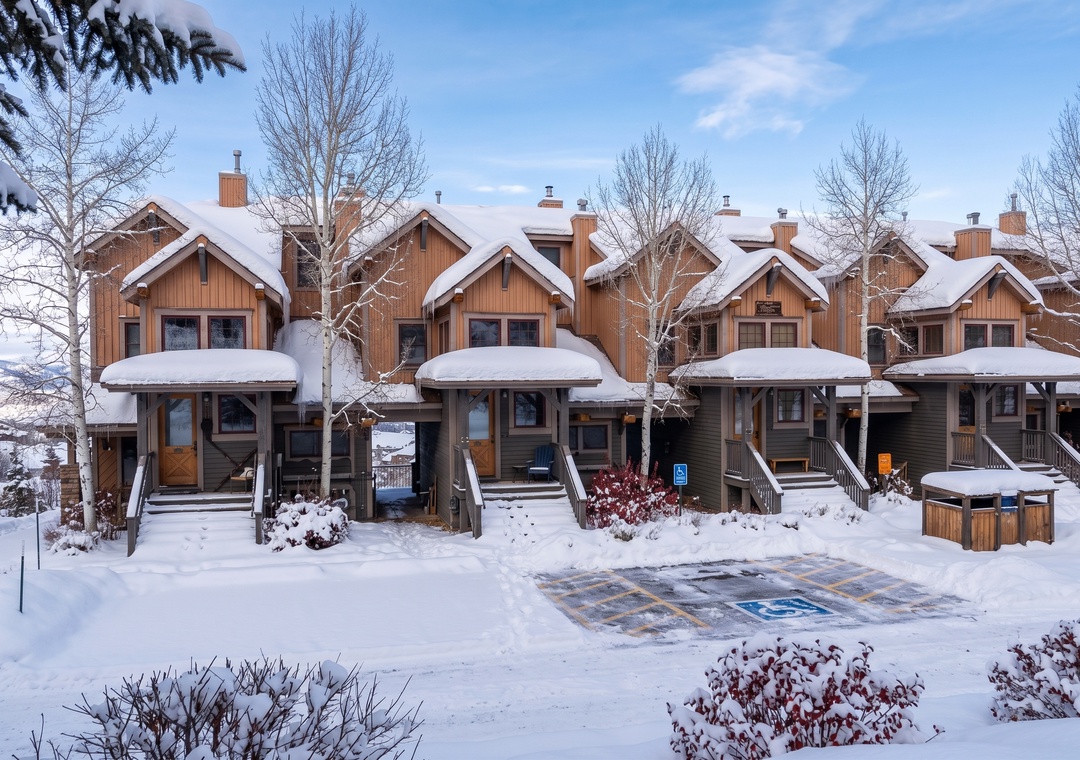 Kicking Horse Palomino 7-302
