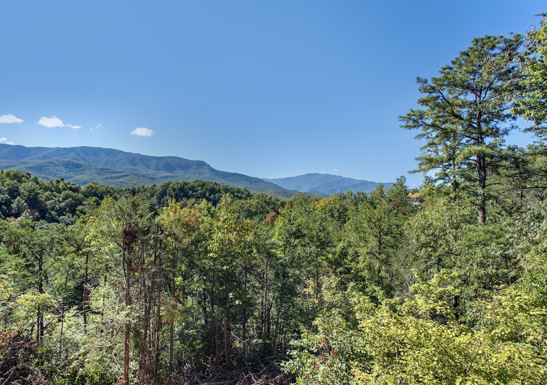A stunning mountain landscape with rolling peaks and dense forest surrounds the property, offering a serene natural setting for your stay.