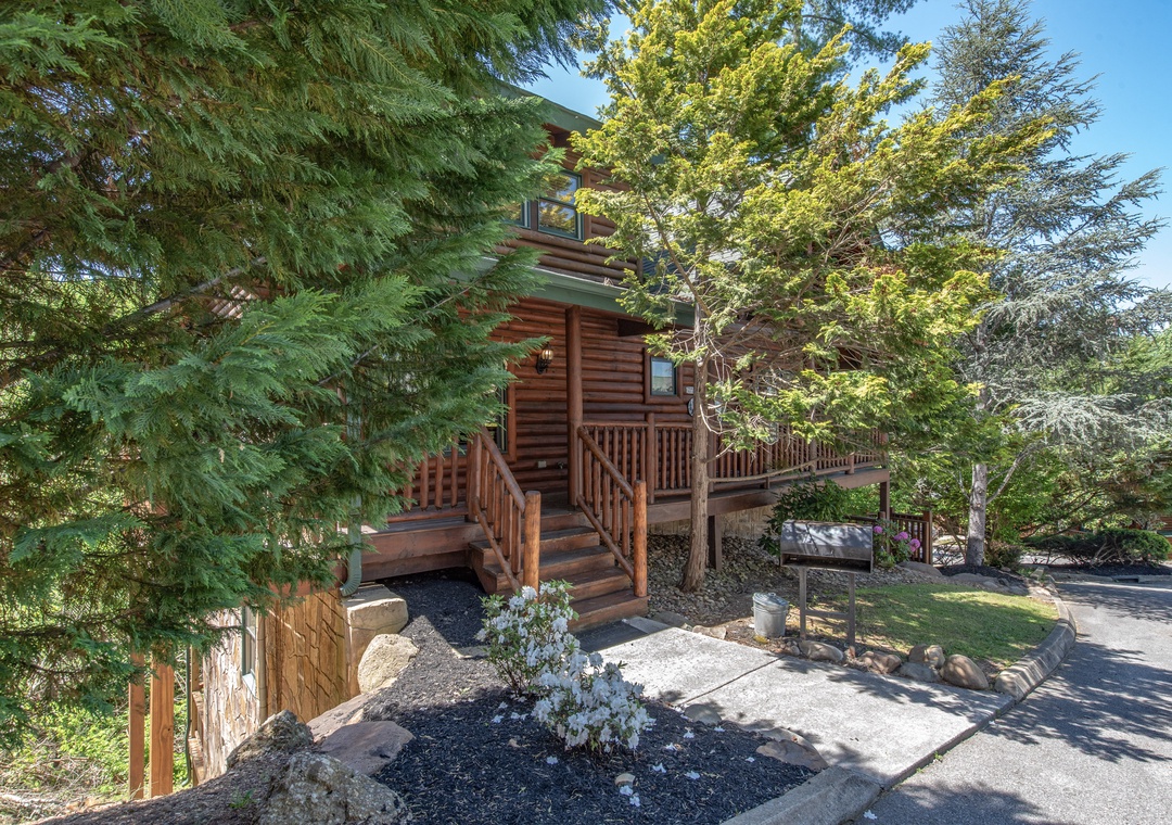 A charming log cabin nestled among towering evergreens offers a peaceful mountain retreat with natural wood charm and serene forest surroundings.
