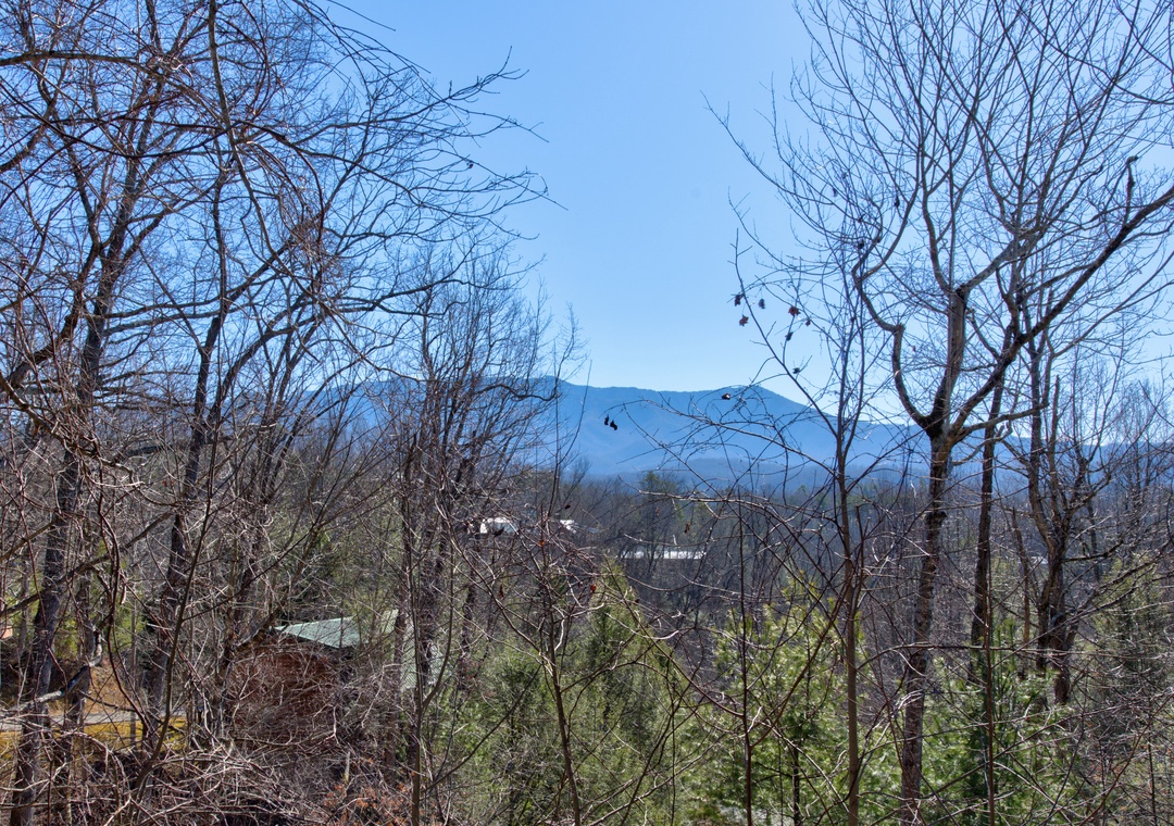 Mountain views frame the surrounding area through bare winter trees and emerging spring foliage in this peaceful woodland setting.
