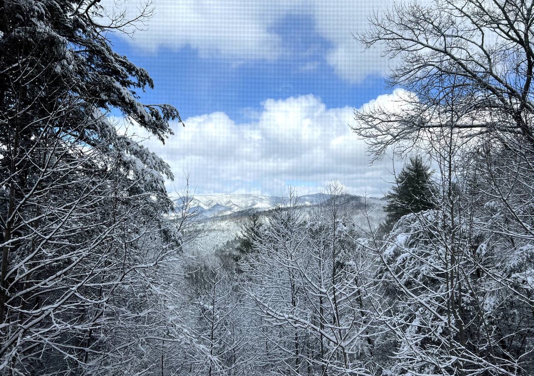 Snow-covered mountain landscape framed by frosted trees creates a pristine winter wonderland in the surrounding area.
