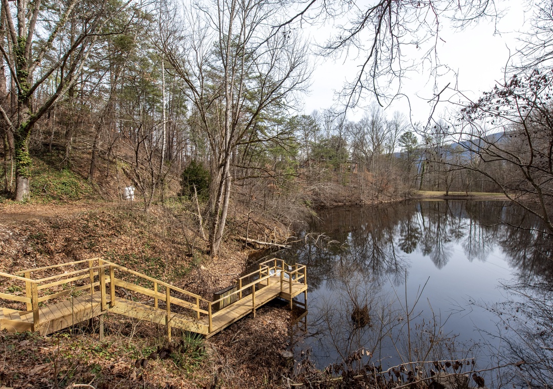 A peaceful pond surrounded by natural woodland, featuring a wooden boardwalk that winds through the tranquil landscape.