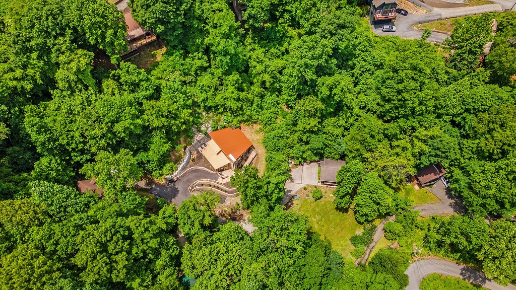 Aerial view of the property nestled privately within lush, mature forest, showcasing the main building with distinctive orange roof and generous grounds, surrounded by vibrant greenery.