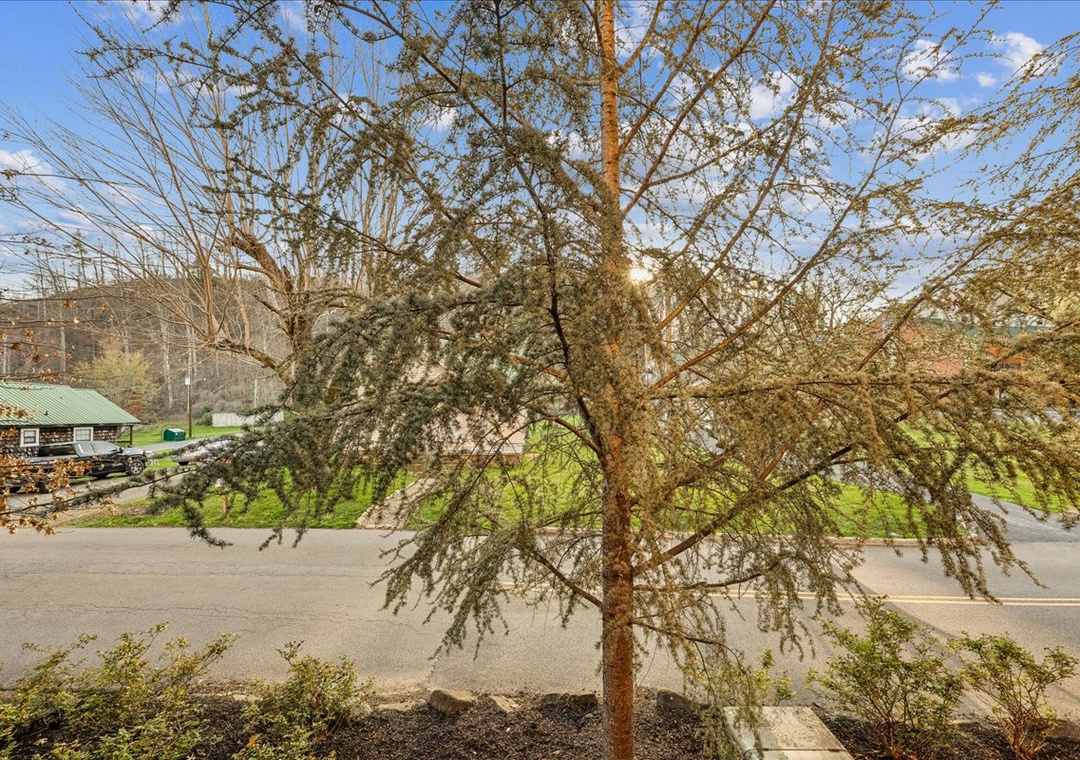 The property sits amid beautiful natural surroundings with mature trees and peaceful neighborhood views.