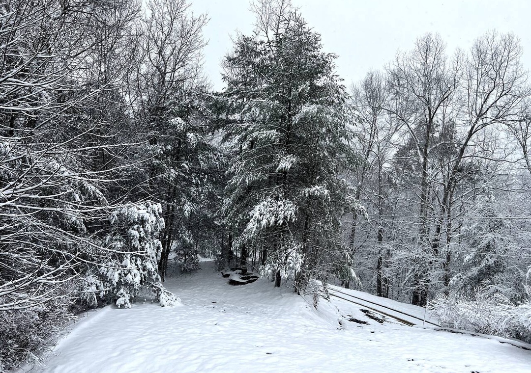 Peaceful winter landscape surrounds the property, with snow-covered trees creating a serene natural setting.