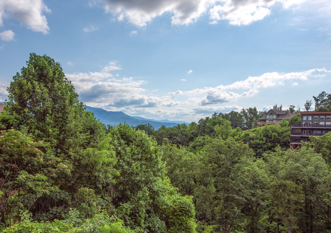 Majestic mountain ranges frame the horizon beyond lush forest canopy, showcasing the property's scenic location in a naturally beautiful area.