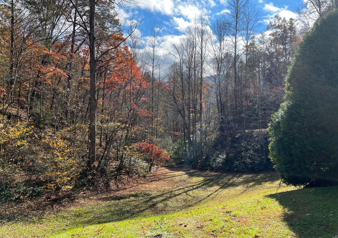 Beautiful autumn landscape with vibrant fall foliage and peaceful wooded surroundings near the property.