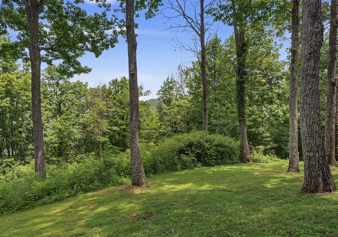 A peaceful wooded area surrounds the property, offering natural privacy and scenic views of the rolling hills beyond.