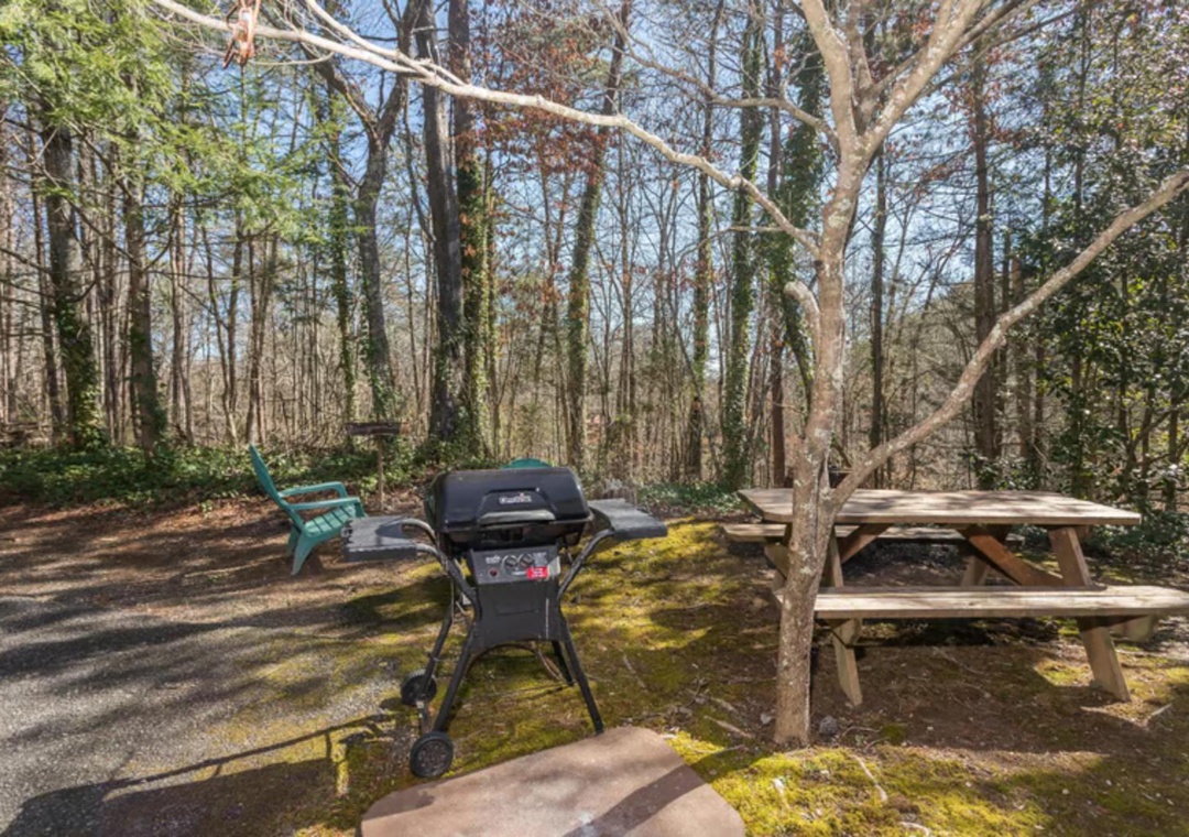 A serene wooded setting awaits, where you can grill up a feast surrounded by towering trees. Perfect for peaceful outdoor dining and relaxation in nature's embrace.