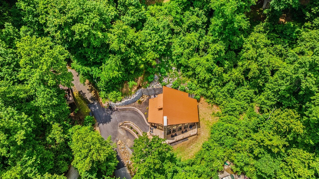 Aerial view of a distinctive vacation rental property nestled within lush forest canopy, featuring warm terracotta roof tones and a private access road winding through verdant summer greenery.