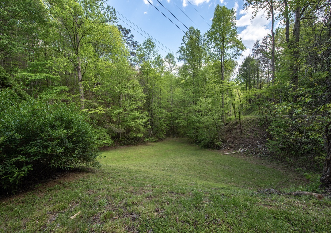 Peaceful wooded clearing surrounded by lush green forest, offering a tranquil natural setting for the property.