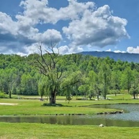 Peaceful pond and rolling green hills offer a serene backdrop, with lush meadows and mature trees framing the expansive natural landscape surrounding the property.