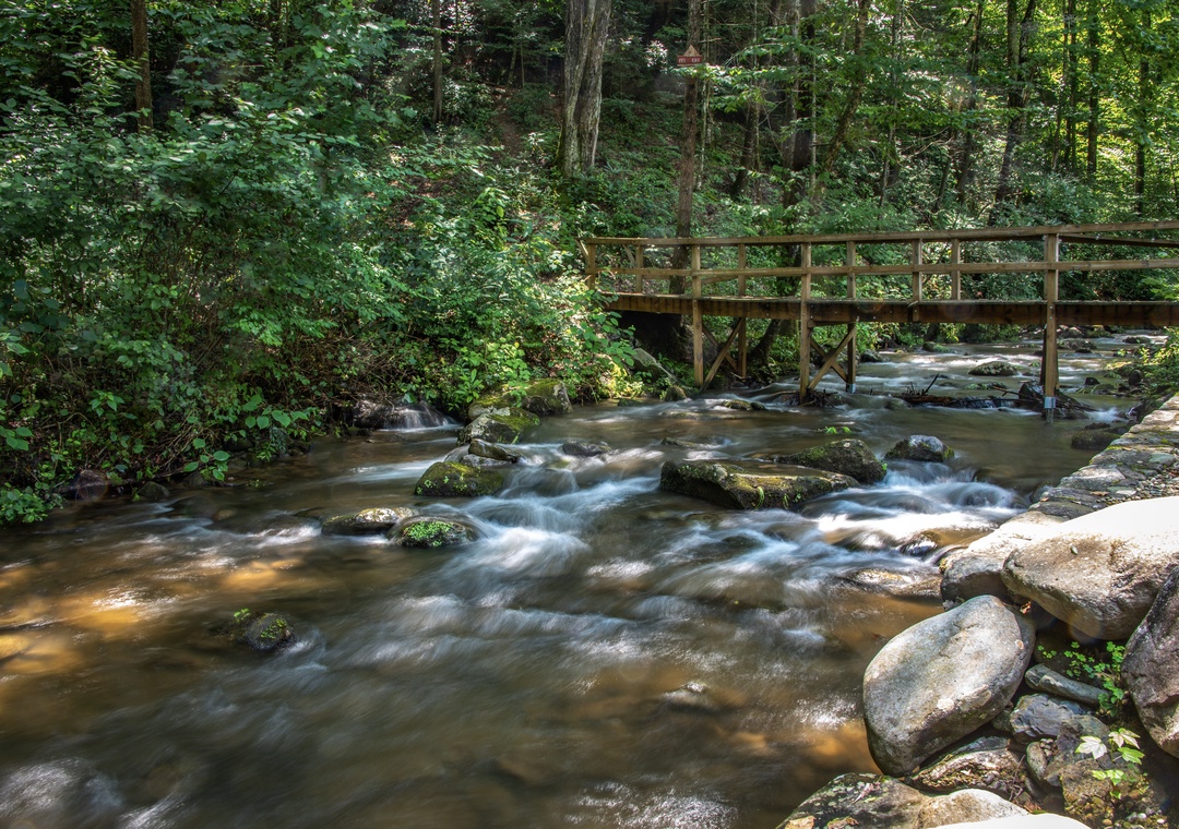 A gentle creek flows through dense woodland near the property, with a footbridge crossing above moss-covered rocks—a peaceful natural landmark in the surrounding area.