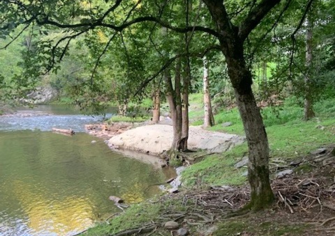 A tranquil river winds through mature trees and natural walking paths in the surrounding area.