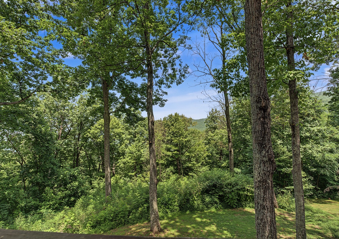 Lush forested surroundings with distant mountain views frame the property, offering a serene natural setting ideal for peaceful getaways.