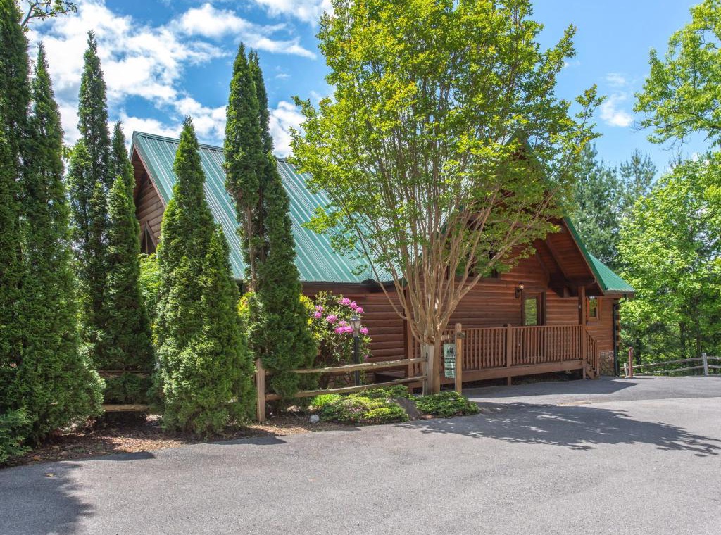 Charming log cabin with green metal roof nestled among towering evergreens and blooming azaleas, offering peaceful woodland retreat.