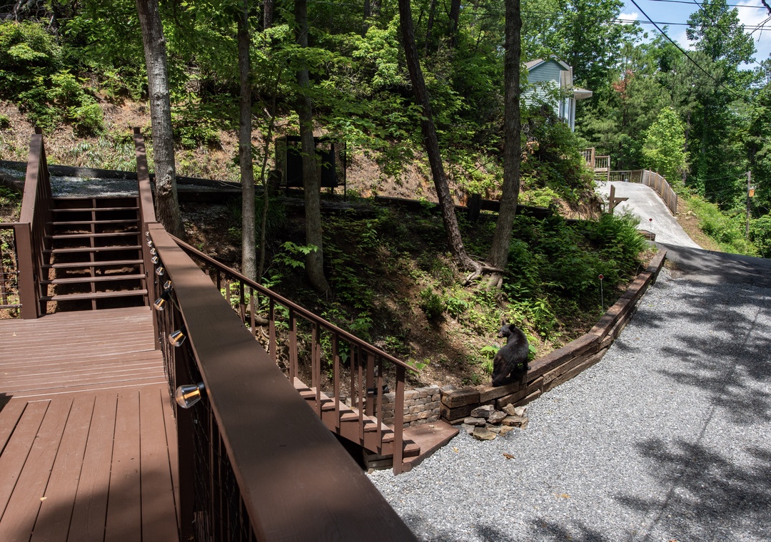 The property offers accessible outdoor pathways and decks nestled among lush woodland, providing scenic arrivals and tranquil natural surroundings for your stay.