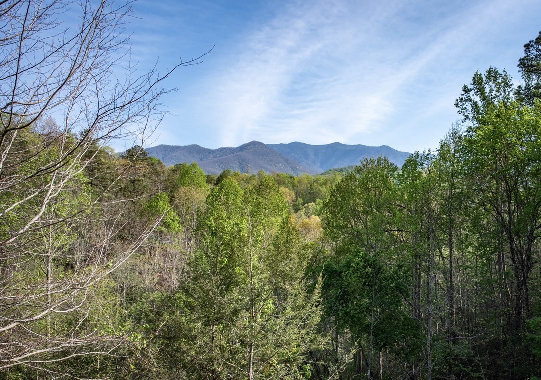 Mountain views stretch across rolling ridges, framed by lush forest canopy with spring's fresh green foliage emerging throughout the valley.