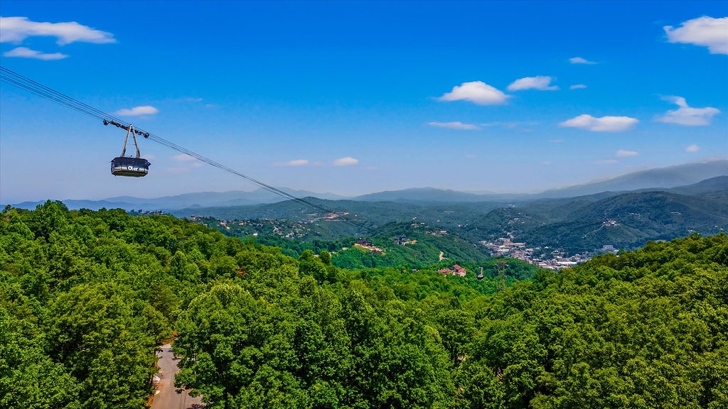 Scenic mountain landscape surrounds the area, with lush green forests and a cable car offering access to elevated viewpoints and nearby attractions.