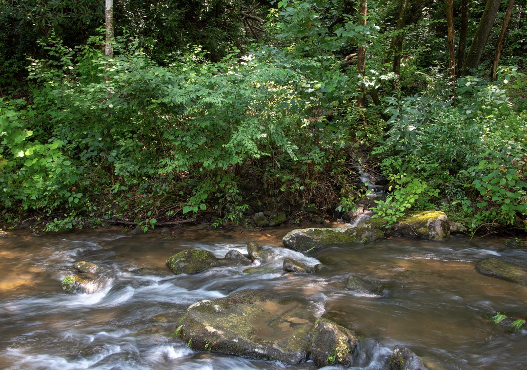 The property is nestled in a tranquil natural setting with a gentle stream flowing over moss-covered stones, surrounded by lush forest greenery.