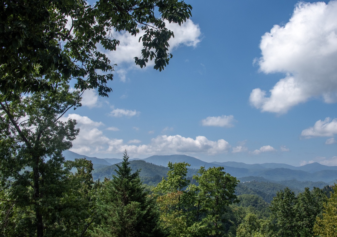 Rolling mountain ridges stretch endlessly under a brilliant blue sky dotted with white clouds, framed by lush green forest canopy.