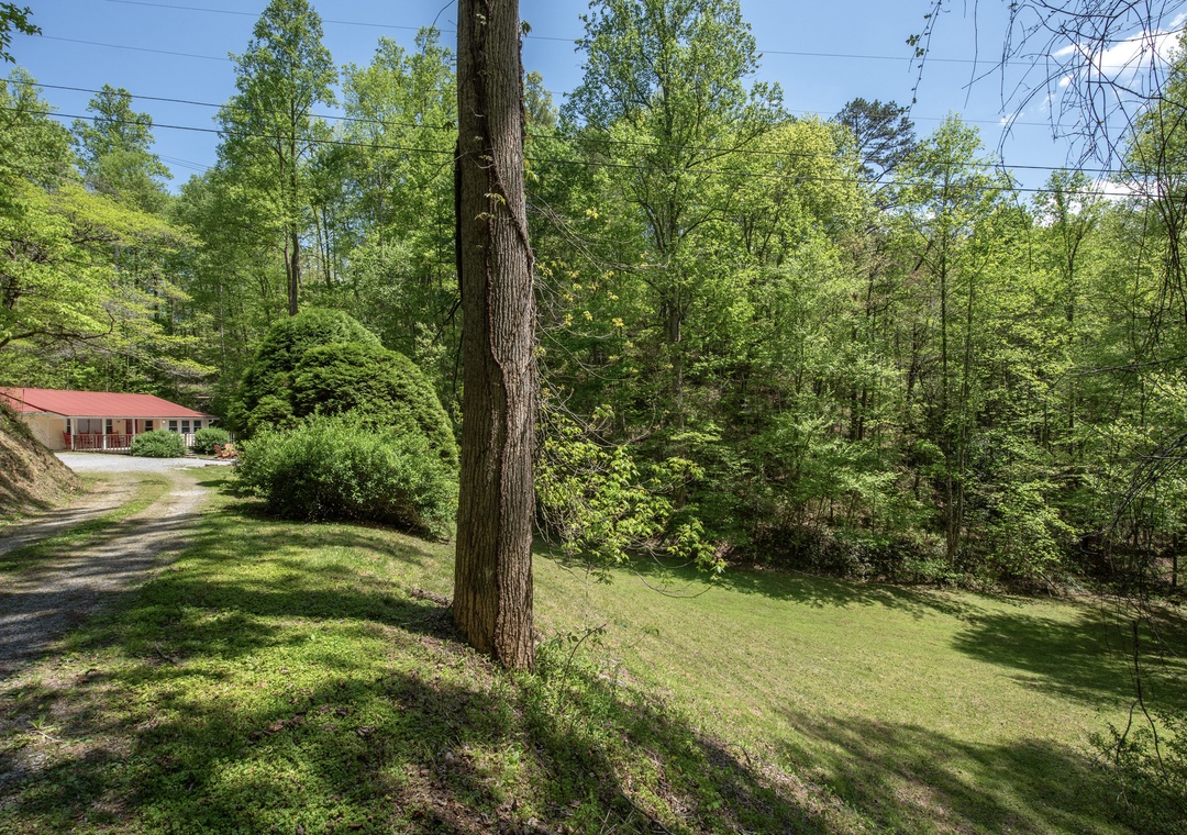 Peaceful wooded property featuring a charming red-roofed building nestled among mature trees and open lawn areas.