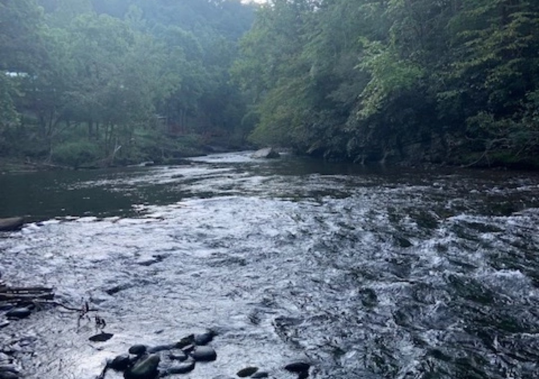 Peaceful river winds through lush forest, creating a serene natural backdrop for the property area.
